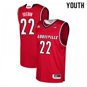 Youth Louisville Cardinals Aidan Igiehon #22 Embroidery Red Jerseys 322269-397